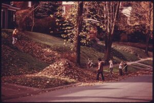 Suburban Family in Mt. Lebanon. PIttsburgh picking up leaves